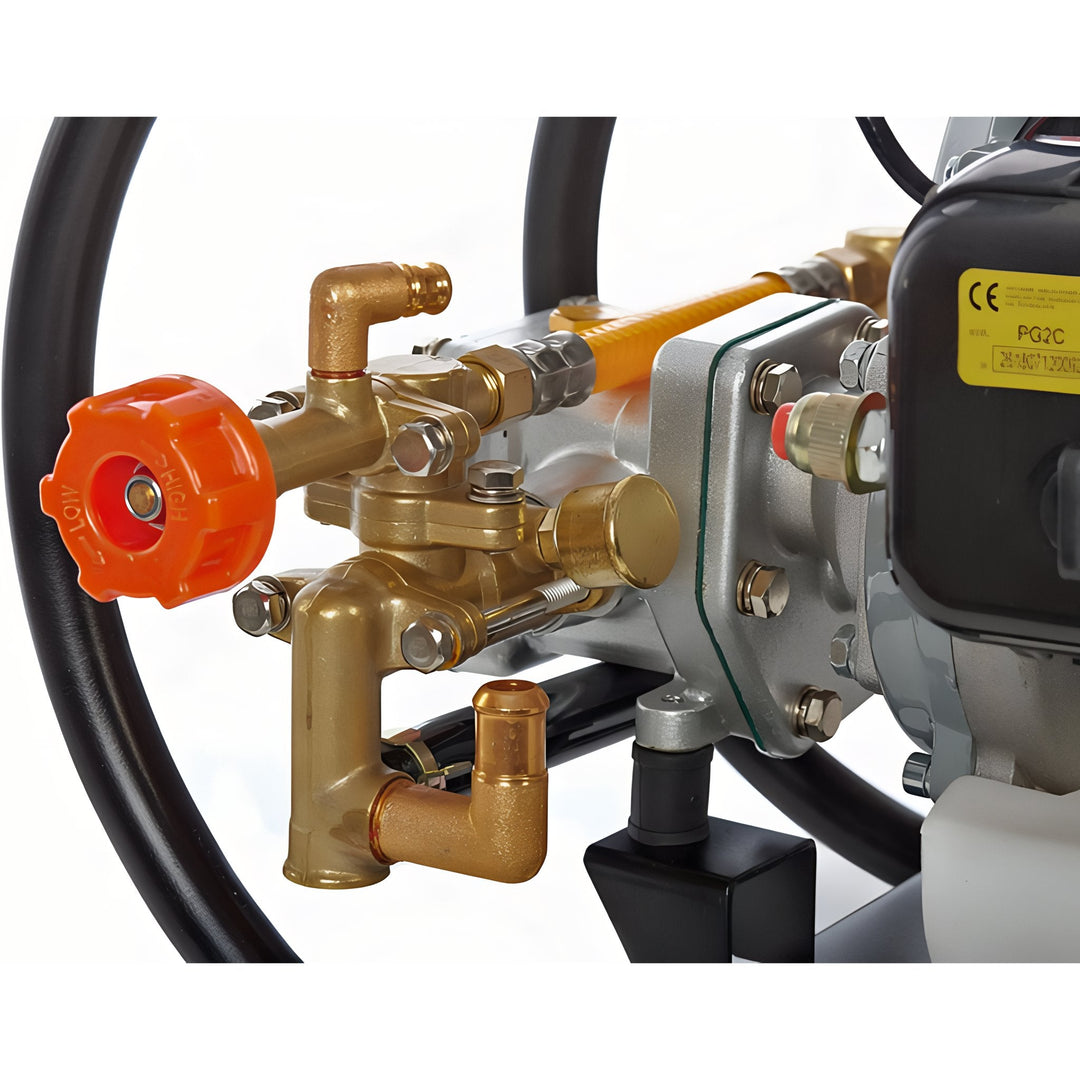 Pulverizador a motor ANOVA PG2C